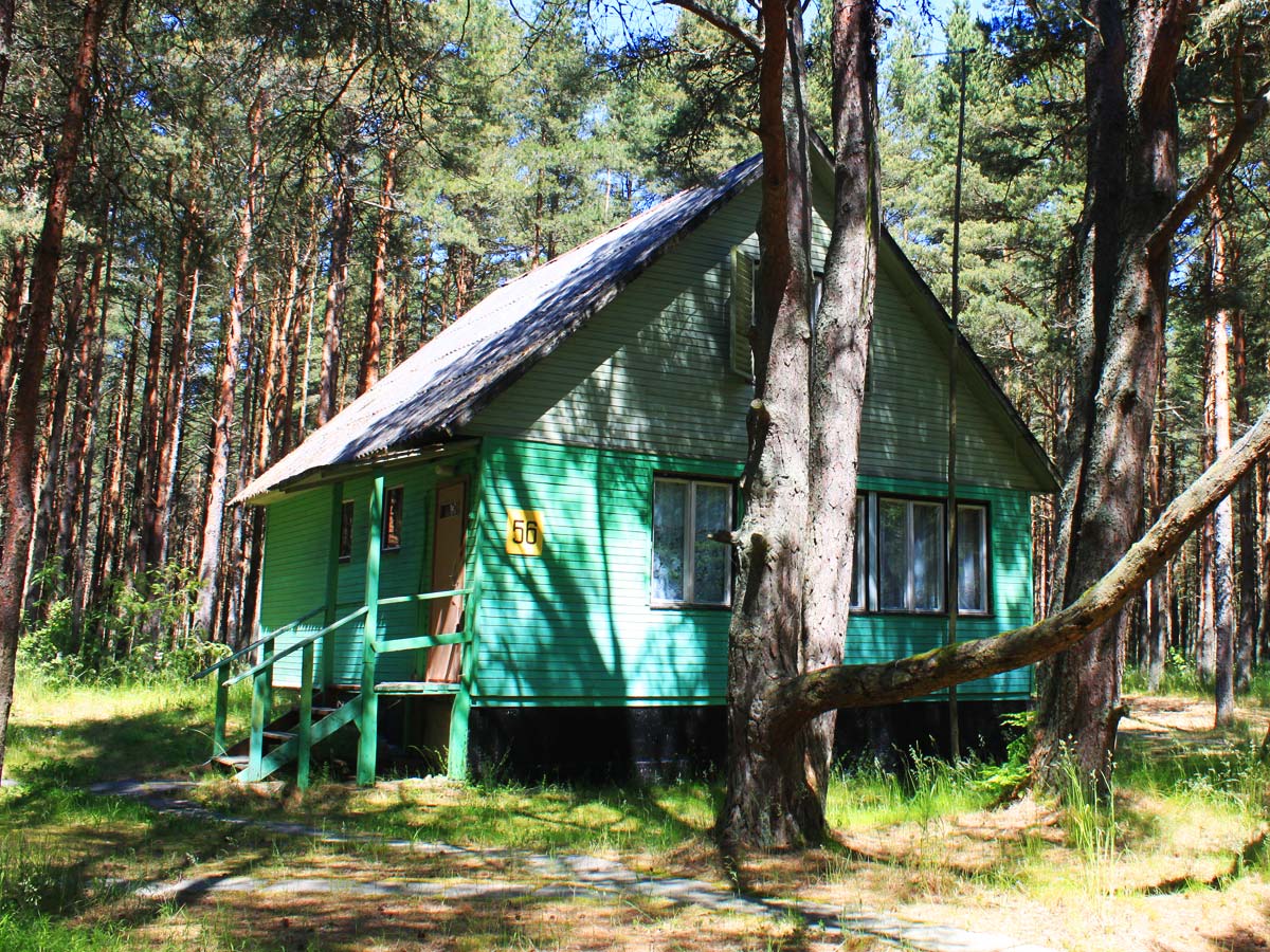 Домик 56